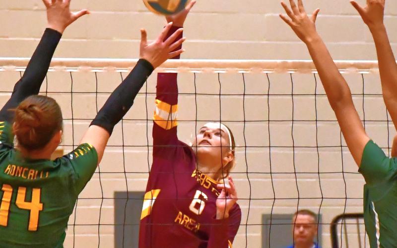 Madison Block (6) gets a hit during Webster Area’s 1-3 loss to Aberdeen Roncalli in a Class A Region 1 semifinal match Nov. 6 in Groton. Set scores for the match were 28-26, 24-26, 20-25 and 16-25. Reporter &amp;amp; Farmer | Connor Handrahan