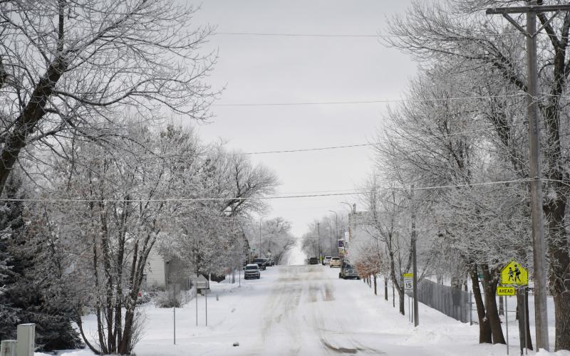 A small coating of snow fell Nov. 27. Here, the freshly made tire marks are on display as cars and trees are lightly dusted with snow on E. 7th Ave., Webster. Reporter &amp;amp; Farmer | Brenner Cariveau