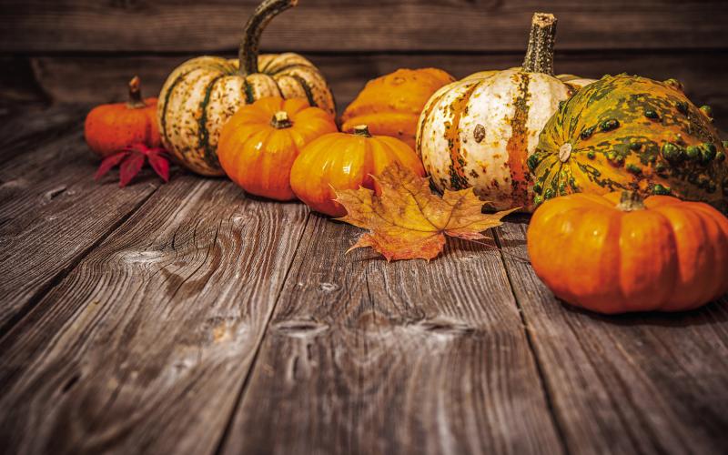 Pumpkin Fest returns for 26th year of autumn themed fun