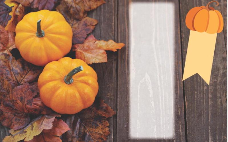 Pumpkin Fest returns for 26th year of autumn themed fun