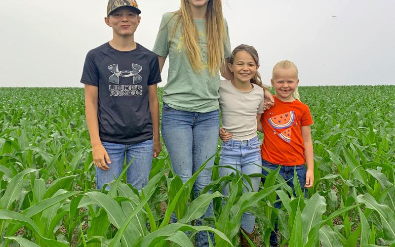 An adage as old as time itself states corn ought to be knee-high by the Fourth of July. Even with many area farmers getting a late start on planting due to weather-related slow-downs, most corn in the area seems to be at least living up to that saying. Here, the children of rural Webster farmers Steve and Natalie Kuecker stand among a field of their father’s crop. From left are Bennett, 12, Kinsey, 14, Ada, nine and Lucy, six. This picture was taken June 27. Reporter &amp;amp; Farmer | Amanda Dulitz