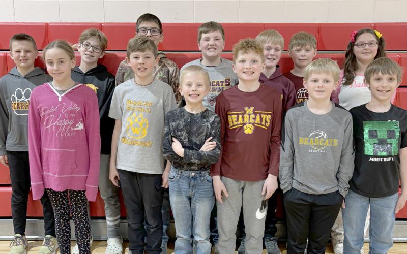 Reporter &amp;amp; Farmer | Subscriber snapshot