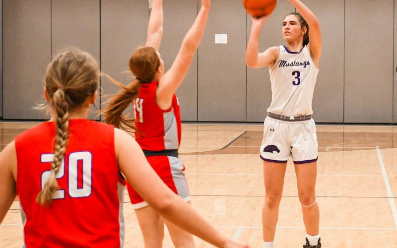 Addison Heinje of Waubay/Summit launches a three-pointer during the Mustangs 52-41 Region 1B playoff victory over Hitchcock-Tulare Patriots Feb. 26 in Summit. Heinje finished with a 34 point, 11 rebound double-double to lead the Mustangs to a SoDak 16 appearance. Reporter &amp;amp; Farmer | Rob Dulitz