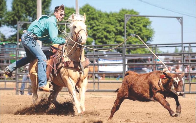 Gage Wik competed in tie down roping in East River regional rodeo placing fifth June 1, sixth June 8 and seventh June 9. Reporter &amp;amp; Farmer | Subscriber snapshot