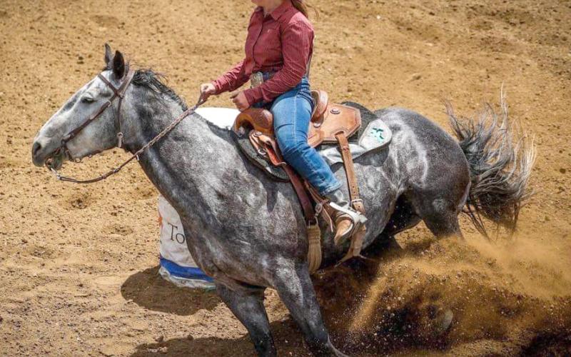 Bryn Sippel competed in barrel racing placing sixth in East River regional rodeos in the June 1-2 and June 8-9 go-rounds. Reporter &amp;amp; Farmer | Subscriber snapshot