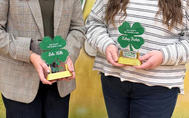 Lola Wells, left and Kelsey Fischer were each recognized as top senior by Day County 4-H. Reporter &amp;amp; Farmer | Subscriber snapshot