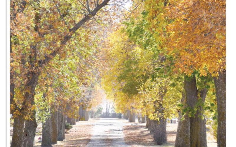Leaves have begun to change color and fall off the trees at the Webster Cemetery Oct. 17. The leaves throughout Day County are now a wide range of colors spanning from red, yellow, orange and of course brown as the weather slowly creeps into the winter season.
