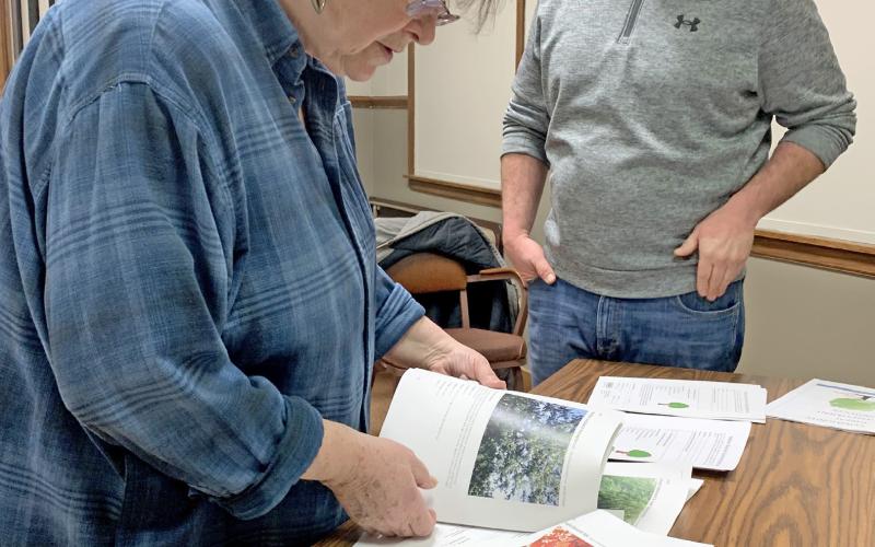 Webster resident Susan Brazda looks over some printed information about different tree varieties available for planting in 2025 through the new tree planting pilot program geared towards diversifying Webster’s urban forest during a public information meeting Dec. 10 at Webster City Hall. Josh Wagner of the Day County Conservation District, stands by to answer questions. Reporter &amp;amp; Farmer | Amanda Dulitz