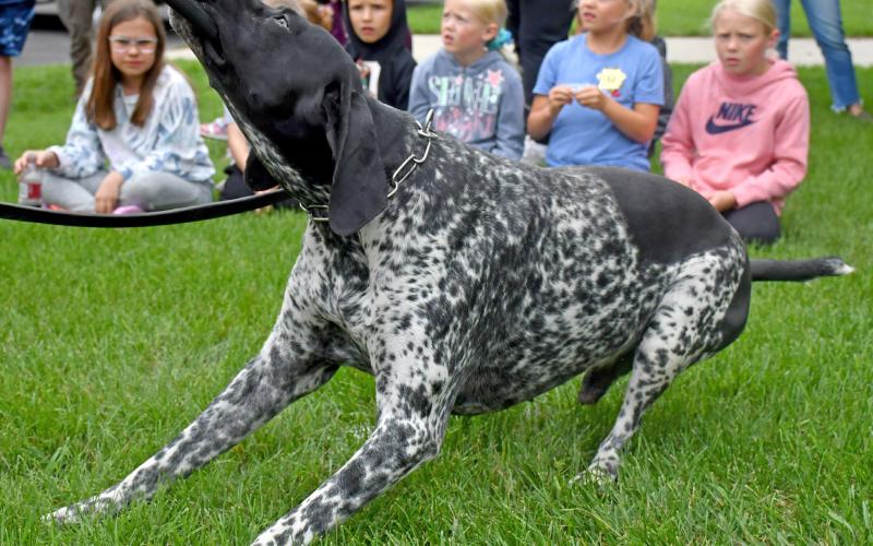 (Above) Hattie Miller, Knox Baumgarn, Adalynn Letcher, Elsie Zubke and Hayden Letcher watch as Harry the drug dog works. This was a part of the second annual Thrivent safety event. Reporter &amp;amp; Farmer | Annie Witt