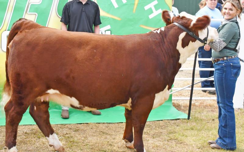 Lola Wells smiles as she was awarded grand champion for the breeding heifer class during the Day County Fair Aug. 10. Reporter &amp;amp; Farmer | Brenner Cariveau
