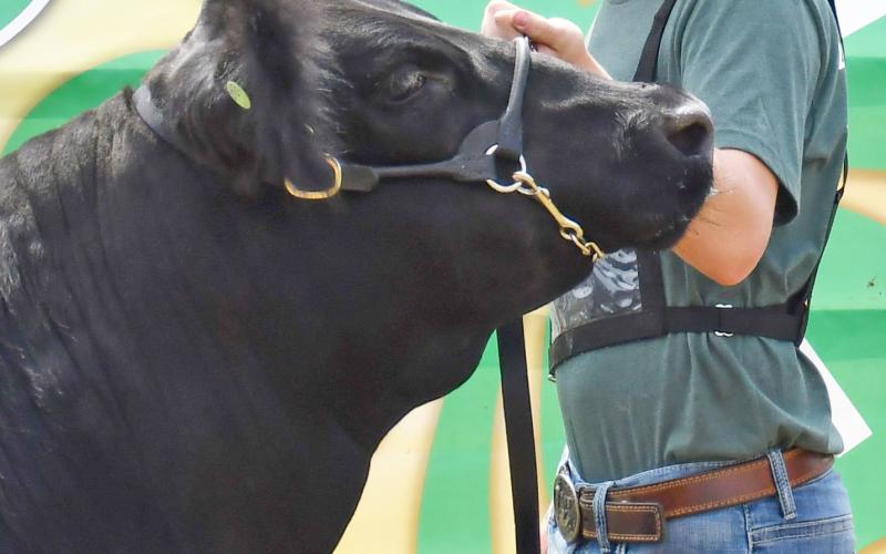 Caleb Gaikowski was awarded status of reserve champion in the market beef show Aug. 10 at the Day County Fair. Reporter &amp;amp; Farmer | Brenner Cariveau