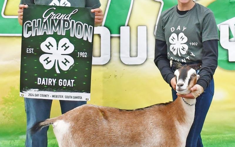 Macee McGregor was named grand champion for the dairy goat show during the Day County Fair Aug. 10. Her brother Blaise McGregor assists her by holding the 4-H grand champion banner. Reporter &amp;amp; Farmer | Brenner Cariveau