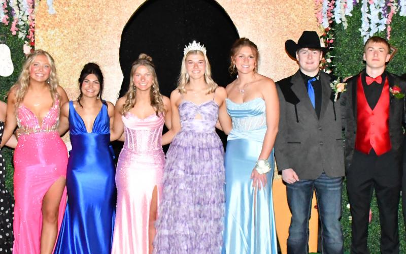 Webster Area student council poses for their “Evening in Wonderland” themed prom April 17. From left, Rylee Mortenson, Mia Coester, Rayna Johnson, Willa Stern, Jersey Johnson, Madison Block, Karli Sannes, Caleb Gaikowski, Henry Witt, Grady Wagner and Kenley Grewe. See more on 1. Reporter &amp;amp; Farmer | Connor Handrahan