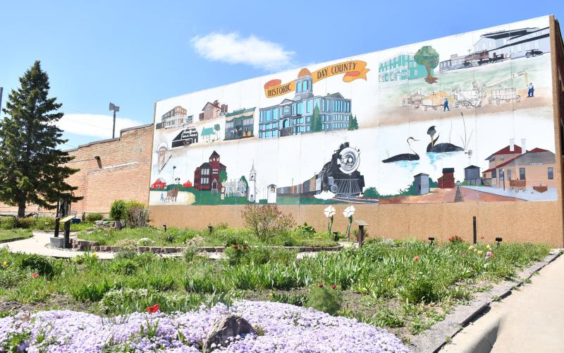 Reporter &amp; Farmer | Timothy Gibson Spring has sprung and the Day County Arts Center Mural Garden on Webster’s Main Street is in full bloom, a perfect place to meander through vegetation in the sunshine while enjoying the work of the volunteer gardeners.