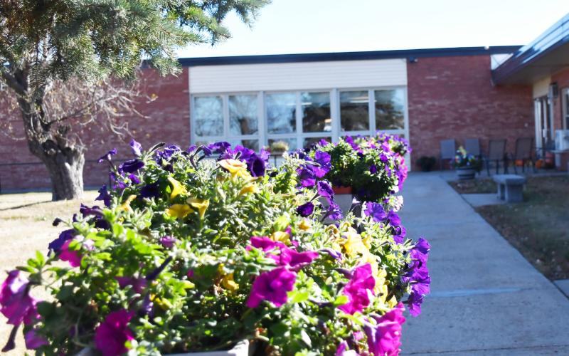 The flowers at Bethesda Home in Webster are still vibrant and full of life as of Oct. 25 with the end of of October nearing and temperatures steadily declining. Reporter &amp;amp; Farmer | Brenner Cariveau
