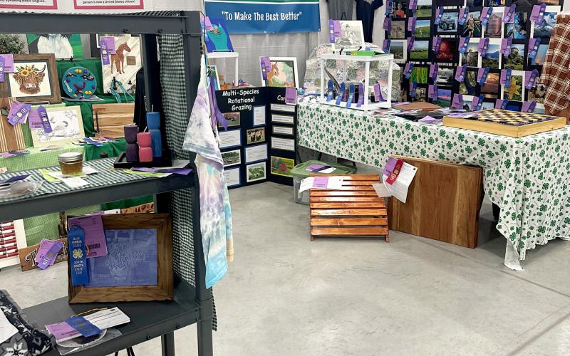 Day County 4-H members earned 120 ribbons for their South Dakota State Fair display exhibits. Pictured is the Day County booth in Norby Hall on the fairgrounds in Huron. Reporter &amp;amp; Farmer | Subscriber snapshot