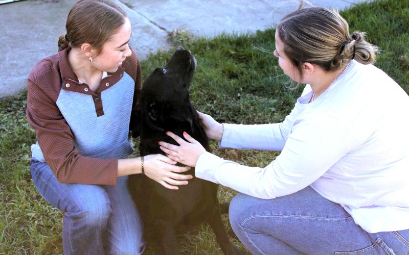 Webster Area sophomores Macee McGregor, left, and Bentley Miotke play with a dog. They were finalists for the BIG Idea competition with their theoretical business, Pretty Paws Staycation. They were one of eight finalists in the competition. Reporter &amp;amp; Farmer | Subscriber snapshot