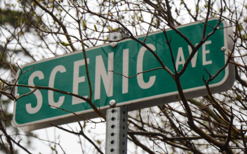A street sign of Scenic Avenue at Pickerel where Kosciusko Township board members have decided to close what is the only public road into the housing development there. Reporter &amp;amp; Farmer | Amanda Dulitz