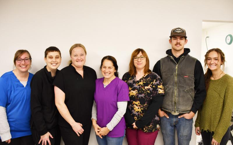 Webster Veterinary Clinic provides high quality care