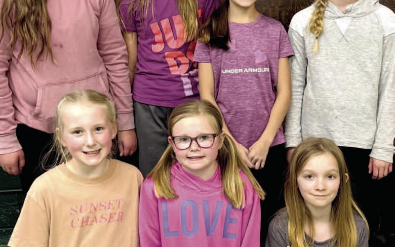 Pictured from left are local winners of Catholic Daughters education contest, front, Hilton Butler, Larissa Butler, Elizabeth VanElsacker; back, Aliyah Zirbel, Kallie Zirbel, Lindsey Butler and Hailey Butler. Reporter &amp;amp; Farmer | Subscriber snapshot