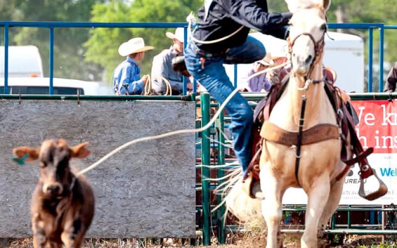 Webster Area student Gage Wik is pictured competing in regional high school calf roping. He placed fifth-team roping, sixth tie down in Huron and sixth team roping in Watertown. He and Bryn Sippel competed in two weekends of East River regional high school rodeos June 7-8 in Huron and June 14-15 in Watertown and were eligible to compete in the 76th South Dakota State High School Rodeo Finals in Ft. Pierre June 17-21. Reporter &amp;amp; Farmer | Subscriber snapshot
