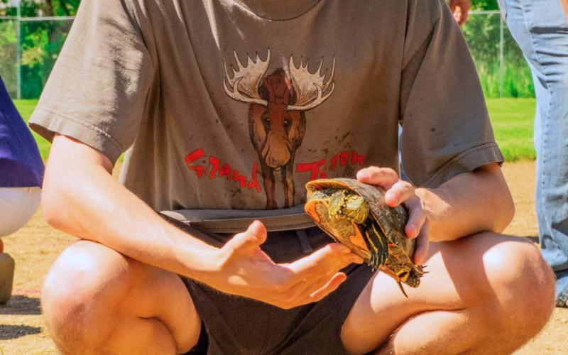Andrew Pitzl of Eden waits for the start of his turtle racing heat during Eden Days festival June 28. Pitzl’s turtle dubbed Speedy couldn’t live up to its name and didn’t make the final round. Reporter &amp;amp; Farmer | Leyton Beardslee