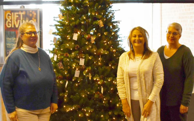 The Spirit of Christmas tree is giving joy to less fortunate children. Tags to donate presents for children can be found at Dacotah Bank, CorTrust Bank and First Interstate Bank in Webster. Here, from left volunteers Teresa Mikkelsen, Stacy Mount and Marla Althoff stand next to the Spirit of Christmas tree located in Dacotah Bank Dec. 4. Reporter &amp;amp; Farmer | Brenner Cariveau