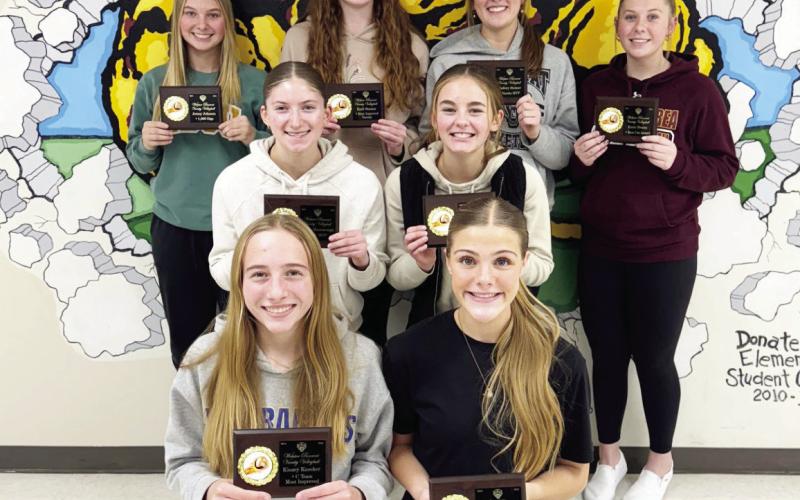 Webster Area volleyball receives team awa rds