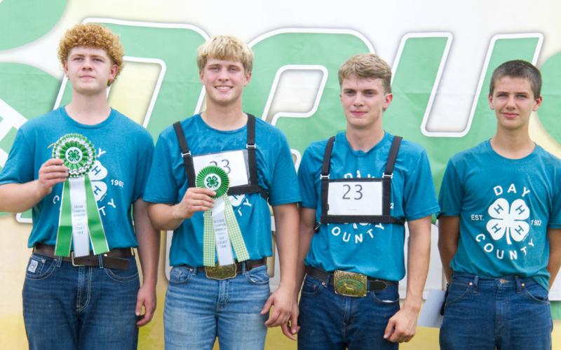 Senior goat showmanship placers at the Day County Fair Aug, 8 are, from left, grand champion Delaney Atherton, reserve champion Michael Dorsett, third place Martin Dorsett and fourth place Knute Hemmingson. Reporter &amp;amp; Farmer | Leyton Beardslee