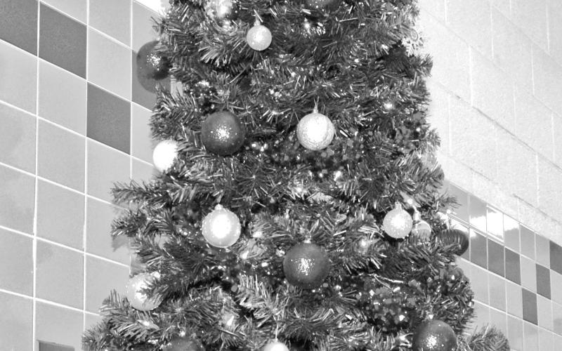 On the lower level of the Day County Courthouse the public can find a golden nativity scene. Many other themed trees are on display in the courthouse decorated by community groups and businesses and this event will continue until Jan. 5. Reporter &amp;amp; Farmer | Connor Handrahan