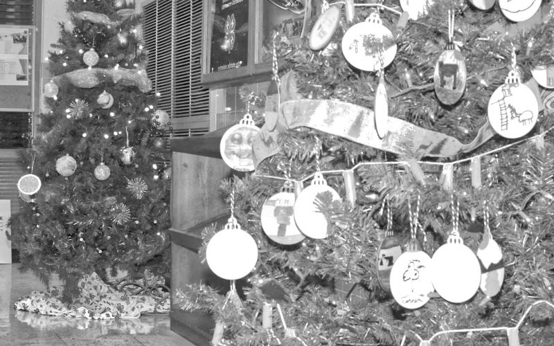Two fully decorated Christmas trees can be found on the lower level of the Day County Courthouse. These trees are just two of the themed trees organizations and businesses have brought into the courthouse for their holiday display that goes until Jan. 5. Reporter &amp;amp; Farmer | Connor Handrahan