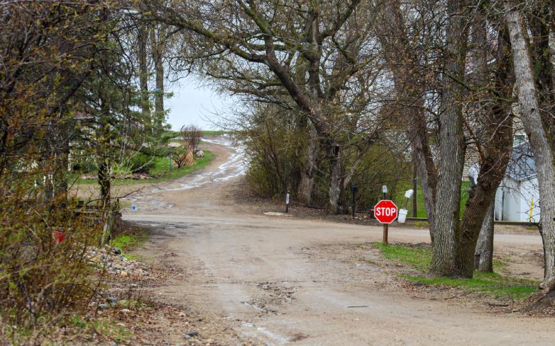 Scenic Avenue at Pickerel Lake