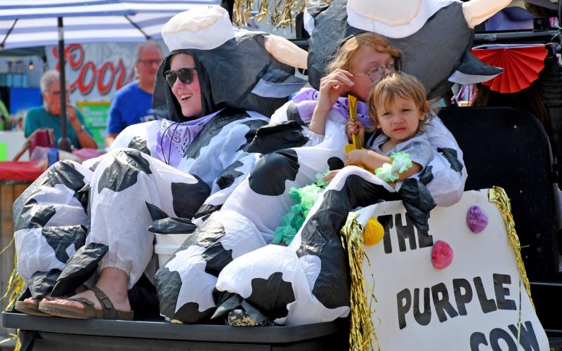 Representing the Purple Cow during the Waubay Fun Fest parade were Rhianna Jorgenson, Lillian Hodge and William Hodge III. Reporter &amp;amp; Farmer | Amanda Dulitz