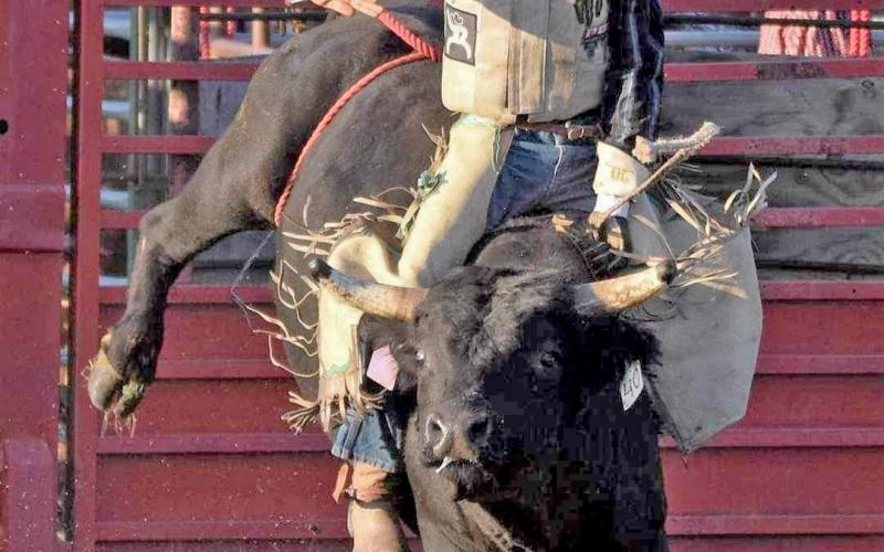 Roslyn teenager Wyatt Nelson has dreams of competing professionally in bull riding circuits someday. Currently, the 14-year-old rides in six different circuits and will be attending the National High School Rodeo, having qualified at state by placing third. Reporter &amp;amp; Farmer | Subscriber snapshot