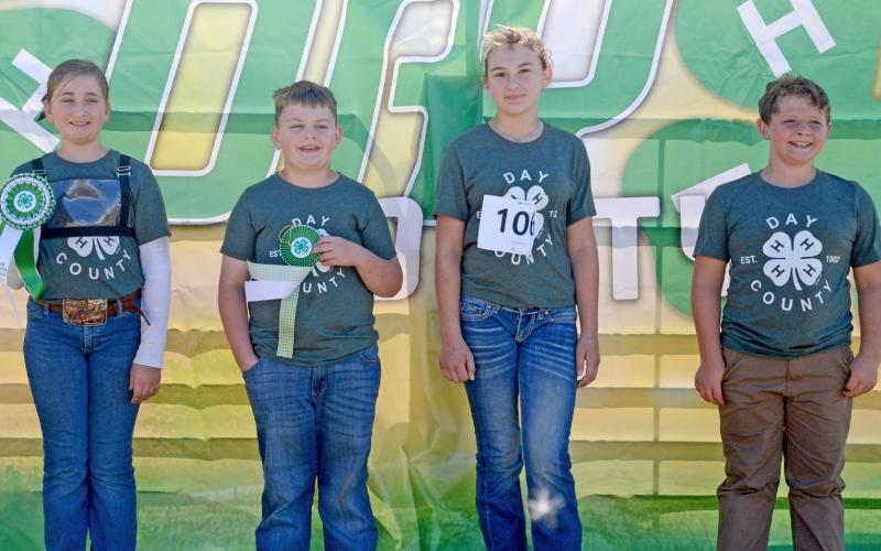 Beginner showmen in the sheep category are, from left, grand champion Cora Larson, reserve champion Henry Paulson, third Kenlee Hommel and fourth Abel Bloom. Reporter &amp;amp; Farmer | Annie Witt