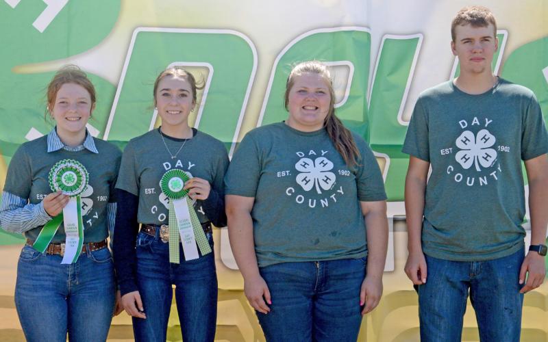 Senior sheep showmen at the Day County Fair Aug. 9 were, from left, grand champion Mackenzie Atherton, reserve champion Macee McGregor, third Kelsey Fischer and fourth Blaise McGregor. Reporter &amp;amp; Farmer | Annie Witt
