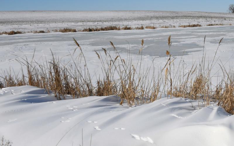 Day County has been experiencing temperatures consistently below zero spanning Feb. 17-21, but cold temperatures do not stop movement of local wildlife. Here, alongside the intersection near 143rd St. and 433rd Ave. tracks are visible in the snow drifts. Reporter &amp;amp; Farmer | Brenner Cariveau