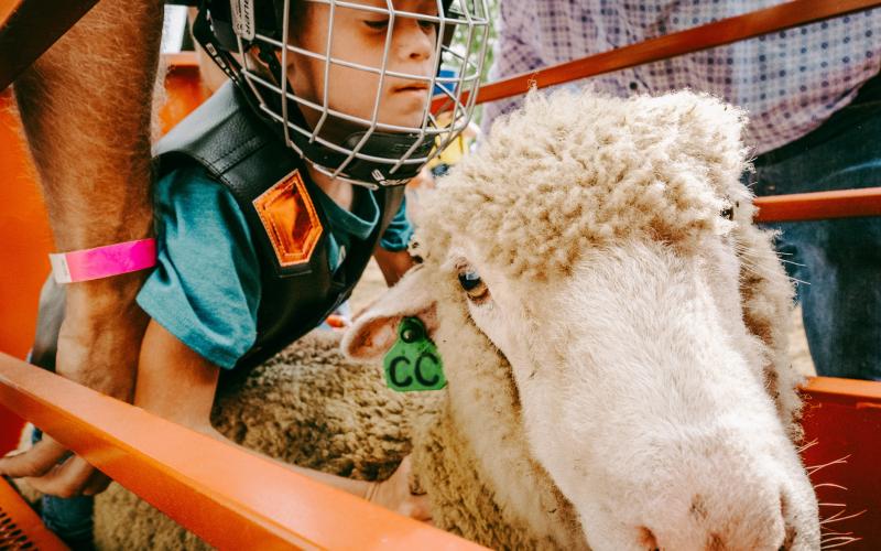 Camdyn Huffman, age eight, son of Curtis and Casey Huffman of Webster gets ready for his mutton busting attempt at the ranch rodeo during the Day County Fair Aug 8. Other events for kids at the rodeo included Little Miss and Mister Buckaroo and a wild calf scramble. See more photos from the weekend throughout this issue. Reporter &amp;amp; Farmer | Leyton Beardslee