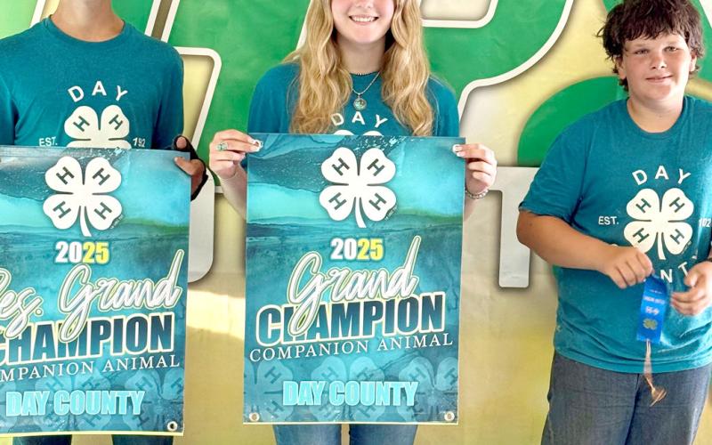 In the companion animal show, from left, Knute Hemmingson received overall reserve grand champion and Mackenzie Atherton overall grand champion and Levi Hemmingson received a blue ribbon. Reporter &amp;amp; Farmer | Subscriber snapshot
