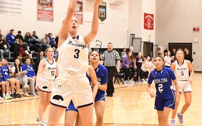 Waubay-Summit hosted Tiospa Zina Feb. 25 in a first round matchup in the Class B Regions bracket which resulted in a 55-54 Mustangs win. Here, Faith Larson (3) floats the ball towards the basket as her teammates Caley Boik (12) and Liza Purdy (5) stand behind Wamdbi defender Latice Rodlund (2). Reporter &amp;amp; Farmer | Robert Dulitz