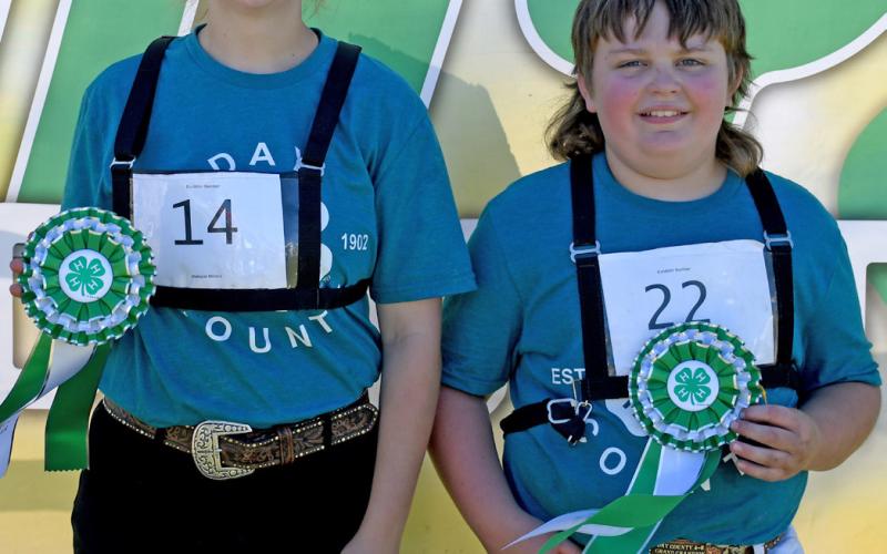 Makayla Meland was the grand champion dairy showman for the senior division while Henry Paulson was the grand champion dairy showman for beginners. Each showed during the Day County Fair Aug. 9. Reporter &amp;amp; Farmer | Amanda Dulitz