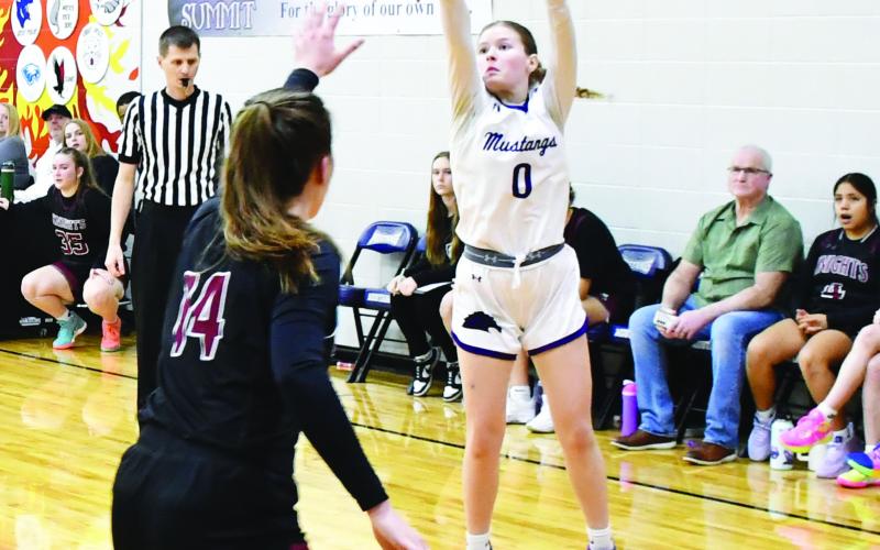 Waubay-Summit girls basketball hosted the Aberdeen Christian Knights Jan. 23 which resulted in a 42-18 Mustangs victory. Here, Brianna Lindholm (0) attempts a three pointer while Aberdeen Christian defender Sophia Eichler (14) closes out on her shot. Reporter &amp;amp; Farmer | Brenner Cariveau