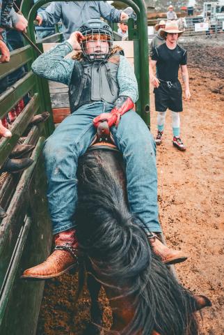 Hawk Hill begins his junior bareback riding attempt during the Waubay Roundup rodeo June 14. Hill finished first in the event with a score of 68. Reporter &amp; Farmer | Leyton Beardslee