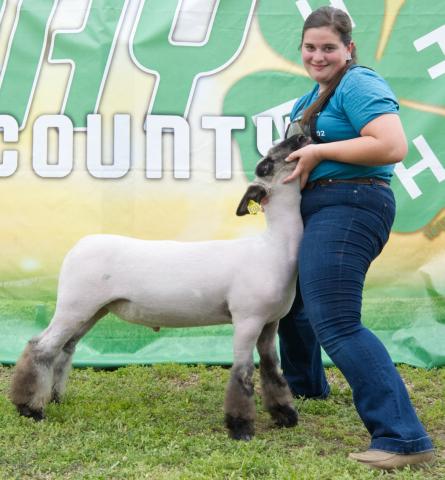 Adaline Larson won overall champion market lamb at the Day County Fair Aug. 8. Reporter &amp; Farmer | Leyton Beardslee