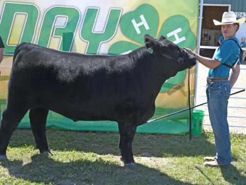 Caleb Gaikowski poses with his grand champion market beef at the Day County Fair Aug. 9. Reporter &amp; Farmer | Amanda Dulitz