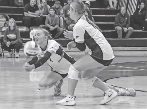 Elise Aker (3) dives for the ball in front of Gracia Althoff (15) during Waubay/Summit’s 3-0 match win over Wilmot Oct. 14 in Summit. Set scores for the match were 25-19, 25-15 and 25-16. Reporter &amp; Farmer \\ Amanda Dulitz