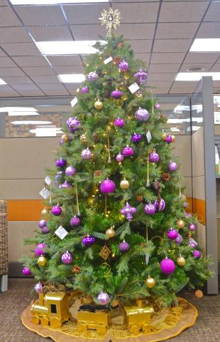 Dacotah Bank, CorTrust Bank and First Interstate Bank are participating in the 30th annual Spirit of Christmas taking place in December. Participants choose a tag and then donate a present for less fortunate children in the Webster area. Reporter &amp; Farmer | Connor Handrahan
