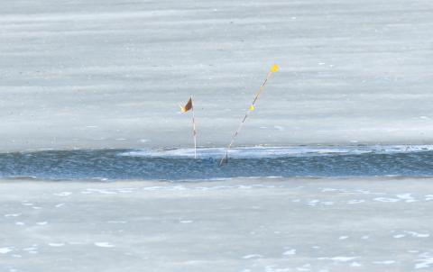 Kiwanis Webster annual sink the K competiton came to an end March 14 as the K crashed through the ice on the slough on the north side of Hwy. 12 west of Webster. No winner has been determined as of March 20. Reporter &amp; Farmer | Brenner Cariveau