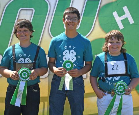 Showmanship champions for the 4-H dairy goat category were, from left junior grand champion Beau Hemmingson, junior reserve grand champion Kason Garduno and beginner grand champion Henry Paulson. Reporter &amp; Farmer | Amanda Dulitz