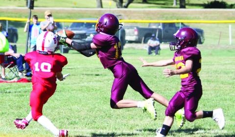 Reporter & Farmer | Subscriber Snapshot Webster Area youth football returned to action Sept. 28 in Roslyn with a triangular slate of games between Florence- Henry and Britton-Hecla. Six total games were played between the three teams. Here, Cooper Gangle (13) dives to make a swooping interception while Tucker Aadland (22) is trailing the Britton Hecla receiver.